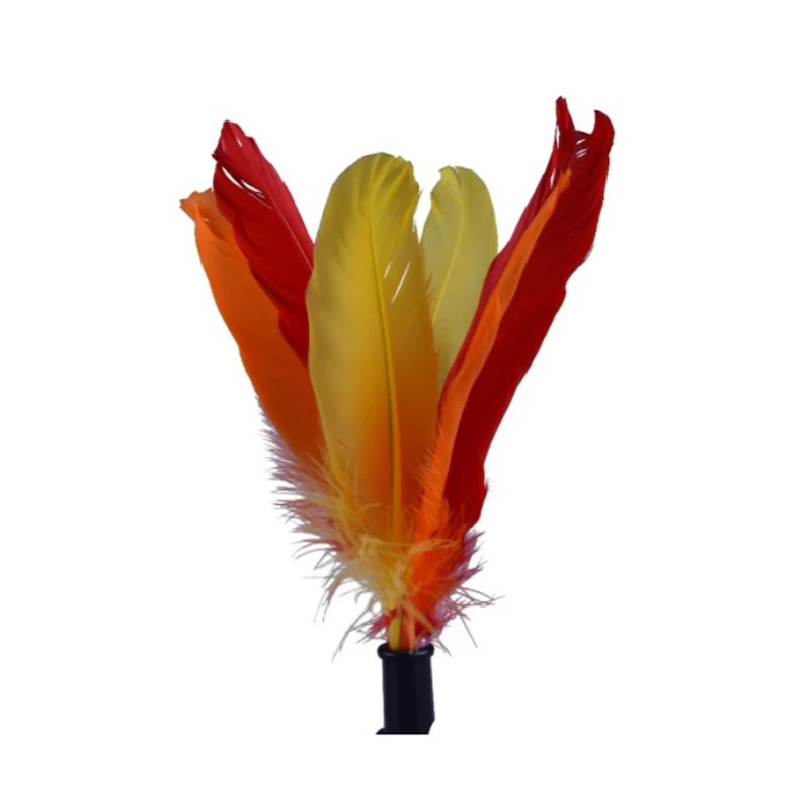 ลูกขนไก่ชายหาด Peteca - เกมนีโ - Badminton Fun Game บทวิจารณ์และราคา